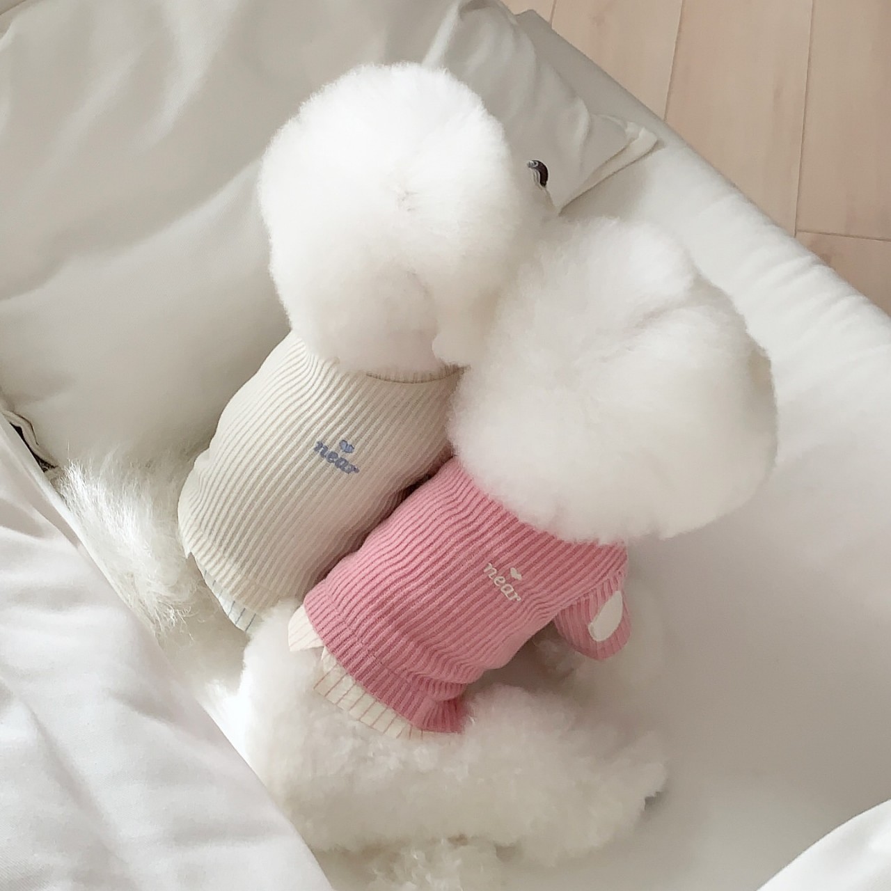 秋冬款宠物衣服狗狗猫咪拼接刺绣比熊博美泰迪小型犬假两件打底衫