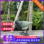 仿真园林定制景观雕塑