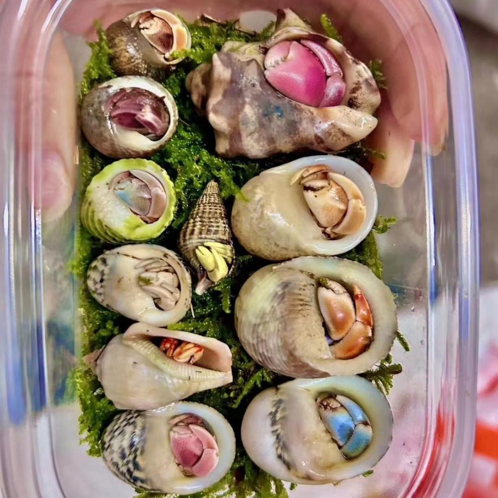 0af5c2e4-f012-4e38-8abd-0d90c2b8d25a.jpe