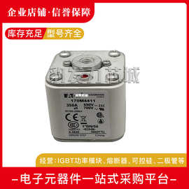 170M4464 170M4465 170M4466 170M4467 170M4468 170M4469熔断器