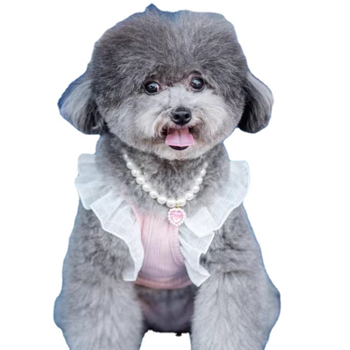 Comercio exterior nuevo collar de mascotas en forma de corazón Cadena de perro gato collar de amor de cristal suministros para mascotas joyería para mascotas al por mayor