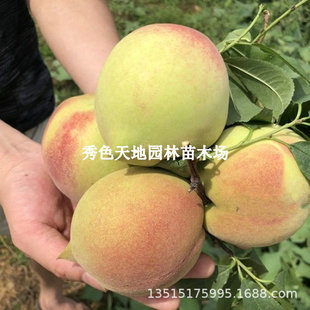 �Ҙ����޽����������ش������Ә��S�����ˮ�����Ҙ��m������