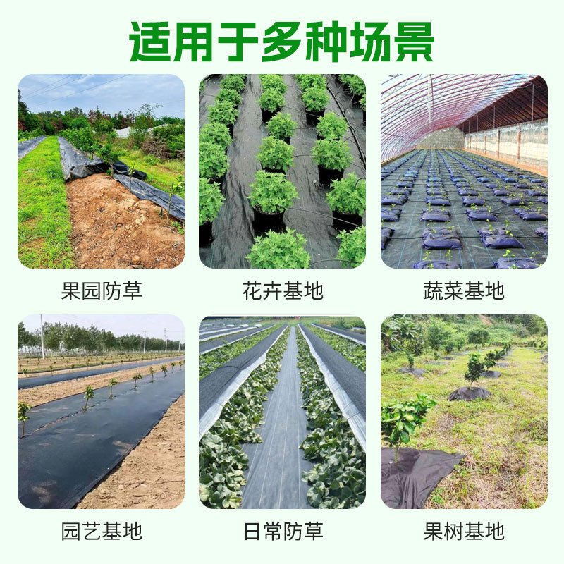 亚马逊pp防草布跨境供应抗老化黑色盖草布园林大棚农用除草布