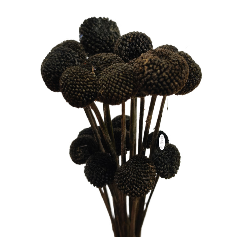 블랙 그레이(20개/번들)