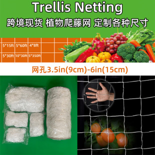 Cucumber Climbing Net Protective Net Vegetable Growing Shed Nylon Vegetable Rack Simple Agricultural Net Fishing Net Loofah