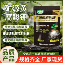 新疆矿源黄腐酸钾土壤冲施滴灌水溶肥松土调酸碱生根壮苗叶面肥厂