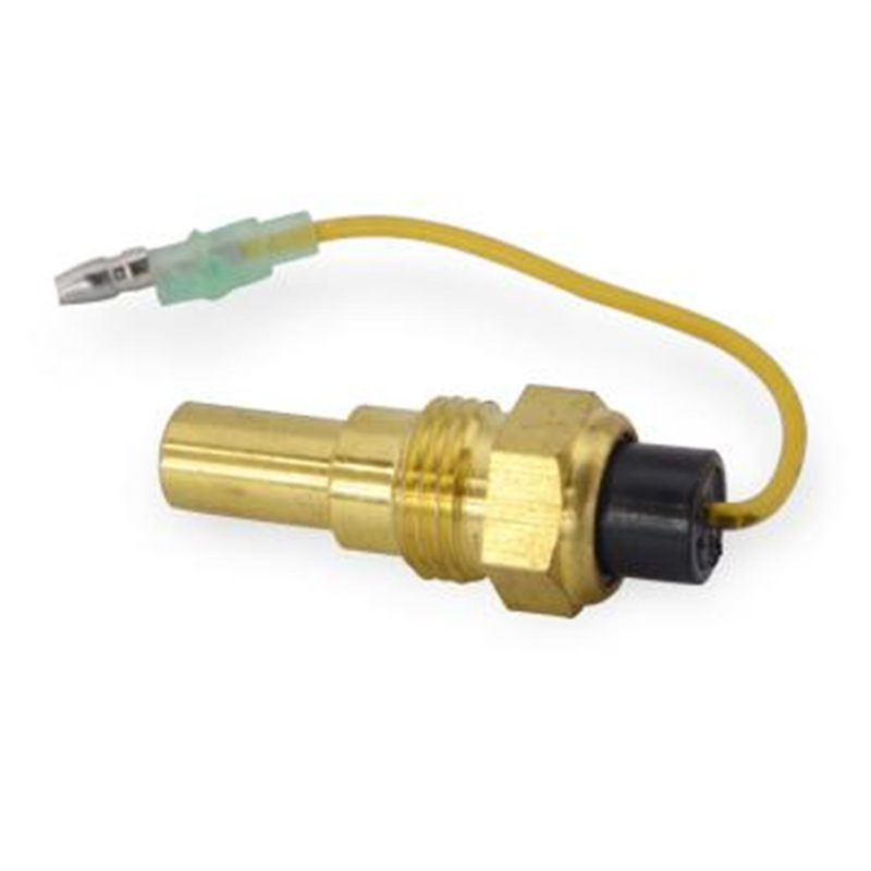 EX200 - 2 Sensor de temperatura del agua (con cable)