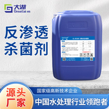 反滲透水處理葯劑 源頭工廠直供非氧化除藻劑 RO180反滲透阻垢劑