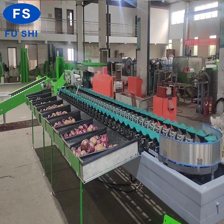 多型号全自动选果机 电脑感应重量型设备 椭圆形水果分选机