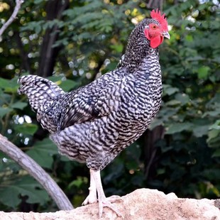 �J���u����Ó��һ���J���u���������J���u�a���J���u�G�������u��