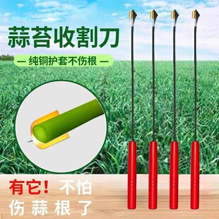 �քӹ��߹ε��ո���ο�����޷����̨��޷��ܵ�̨��