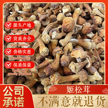 福建古田直供姬松茸食用干货姬松茸批发源头厂家直供