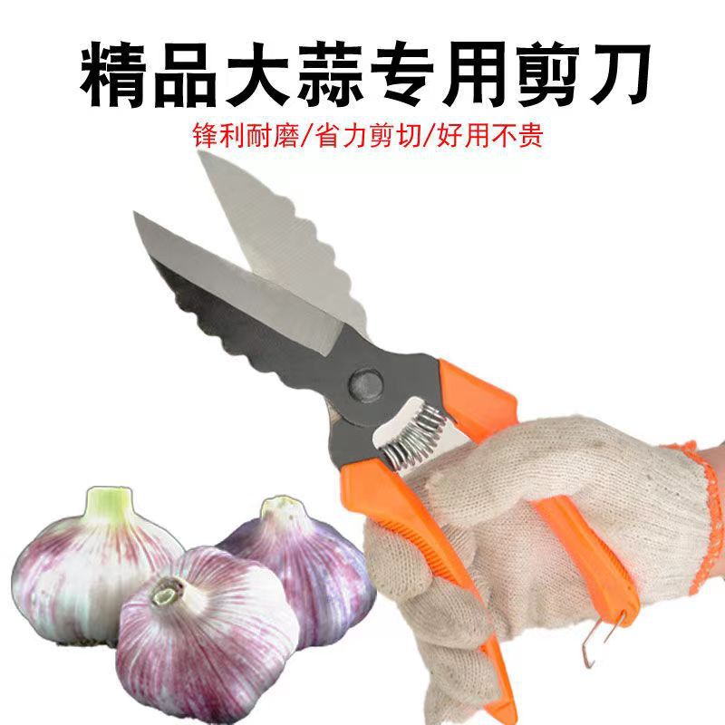 剪蒜剪刀水果花椒辣椒根茎胡蒜杆剪洋葱剪蒜机铡蒜剪杆机剪工具
