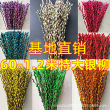 1.5���Ĵ��y���滨�r֦��؛�[���͏dϲ�c��ؔ�[������ˮ���r��ֲ
