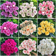 �r�����r���ػ������õ��Yֱ�l��ˮ�ٺ�ֱ���]�滨���տ��л�