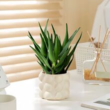 �����J�C�k���҃ȿ͏d��X������B�Gֲ�������Է�ݗ������՚�