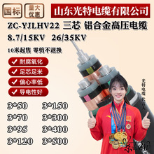 國標YJLV22鋁芯高壓電纜線10/35KV高壓3芯X35 240 400平方地埋線