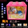 Haiyue buy two get one road damage + pink tank + two lanterns + two packs of sea salt + food + dropper + feeding card