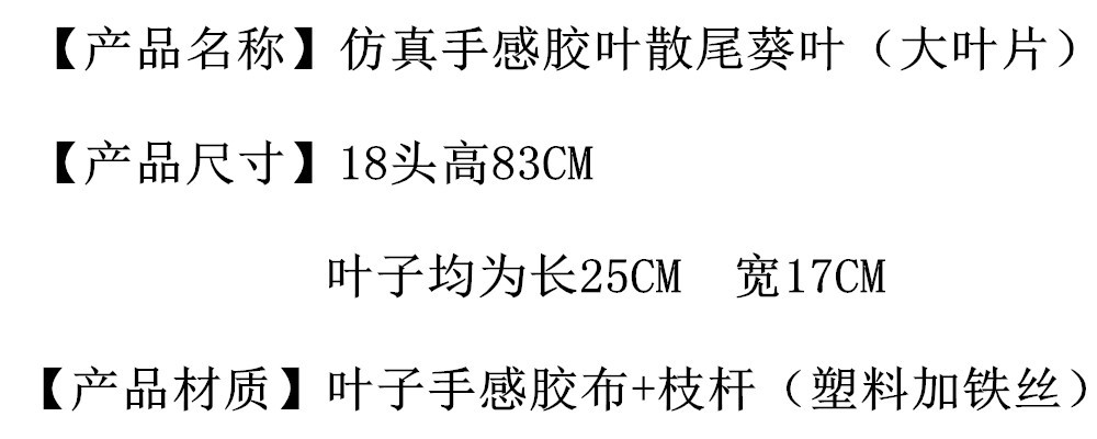 未命名_副本