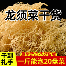 ����횲˸�؛ȫ�ɵ��ɺ�ʯ���˺��庣��Ұ��¹�ǲ˛�����������l