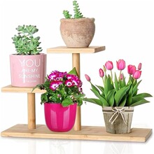 ��ֲ��֧���҃���������������ֲ��ľ��֧�������ռ{����