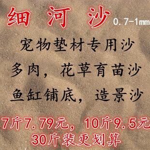 ��Ȼ��ɳ���Sɳ�Ӷ�������ɳ���~�׵�ɳ�Ӟ��������Sɳ��ˮ���쾰