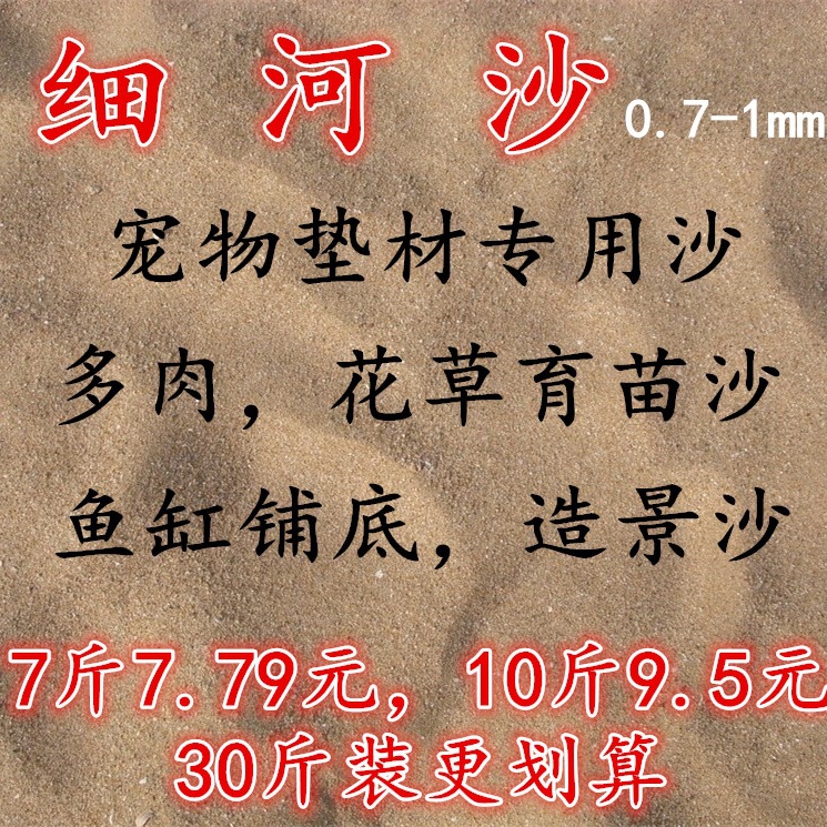 天然河沙细黄沙子多肉配土沙土鱼缸底沙子乌龟冬眠黄沙土水族造景