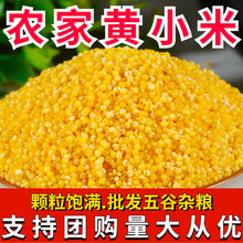 �SС���������l�r��ŴС��������С������s�ZС�S��