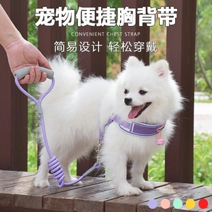 Dog Leash, Large, Medium and Small Size Dogs Chain, Dog Collar, Teddy Golden Retriever Dog Walking Rope, Pet Supplies