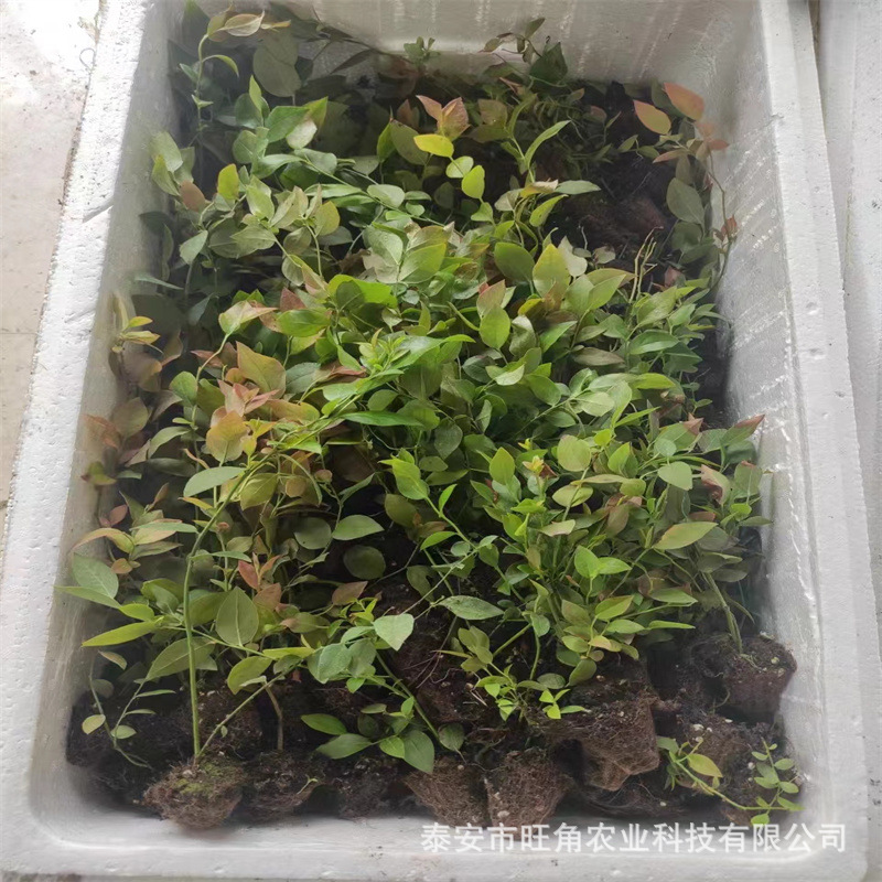 ee9dc4f0a0a0ee2b33f69fa84fa302