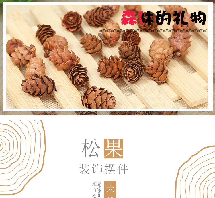 gWmWivOiz9St5Ja3ZAY9YKxGGp2ubQ+jYaL7