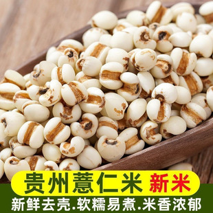 ��޲������؛ ޲����޲�����r���Ԯa����s�Z�ּZ�����Ҝ�