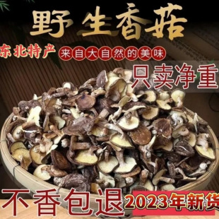 �|��С�㹽С����؛�cԪ�㹽���l�ɶ���Ұ���ɹ���؛�W�����湽