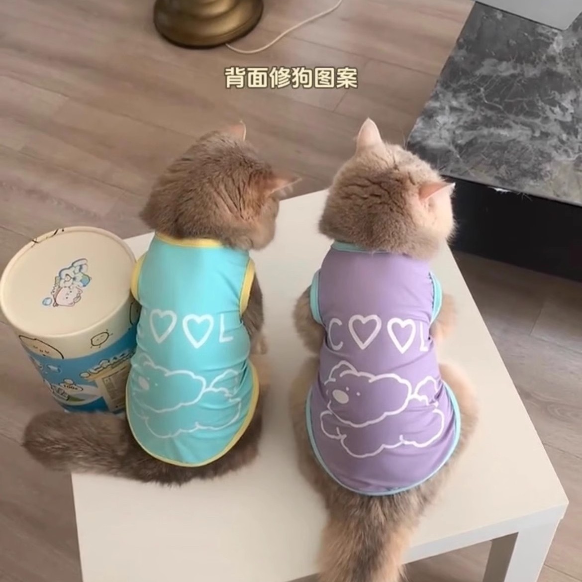 Летний жилет для собак с принтом медведей