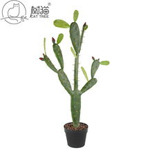 �¿�91cm���������Է����������ᎧɳĮֲ���҃ȾGֲ�bٻ��[��