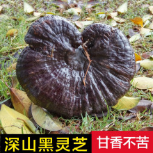 LɽҰ`֥֦ƷһbȻӷɽ֥ݾ