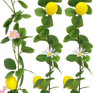 �羳���晎���ٗl�GֲС�r�վG�~�����ٗlɭϵ��ղ��� �����ٗl