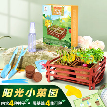 儿童种植发豆芽菜育苗盘种蔬菜植物观察盒小盆栽科学实验套装玩具