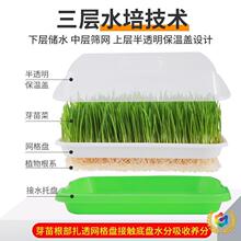 ?����Pѿ��P���̨�N����ˮ���߲˶�ѿ�o��С������Nֲ�P����