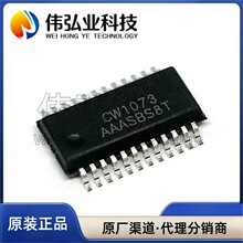 ȫ��ԭװ CW1073AAAS SSOP24 ��ر��� IC ����MOSFET��������