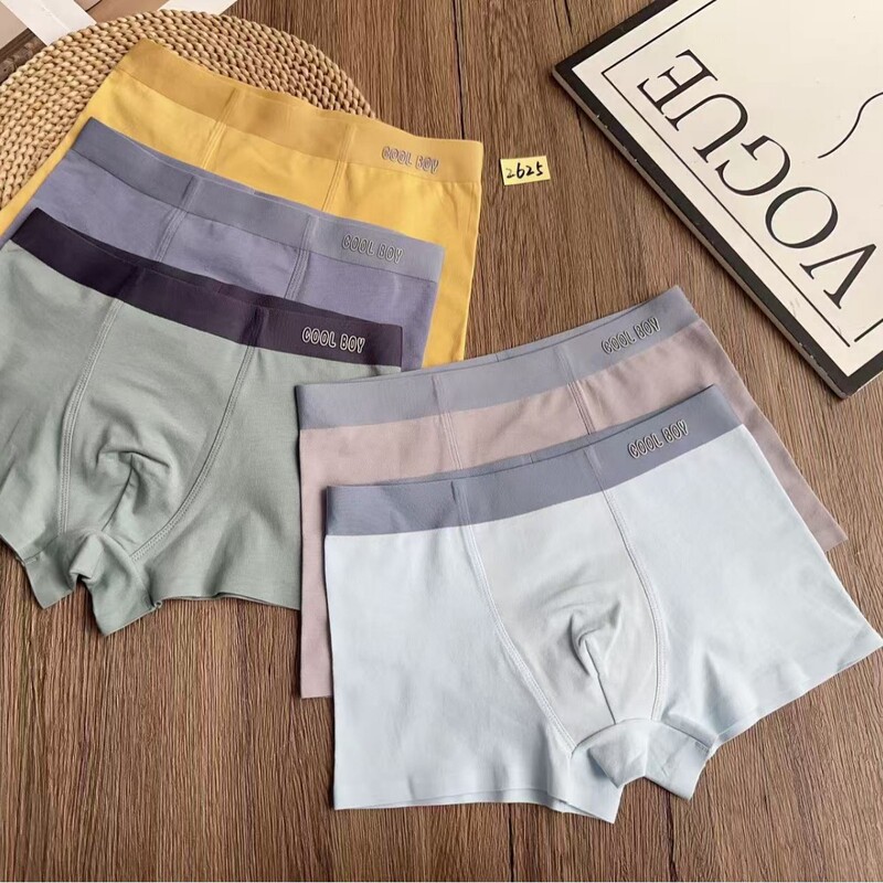 2625 # Free Shipping on 60 Pieces of 95% Cotton Simple and Comfortable Boys' Boxer Briefs 2625 # Free Shipping on 60 Pieces of 95% Cotton Simple and Comfortable Boys' Boxer Briefs