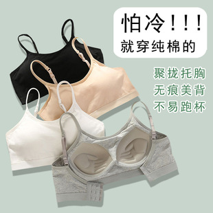 Pure Cotton Anti-slip Wrap Chest Girls' Sling Underwear Women's One-piece Student Bottoming Gather Thin Strapless Sports Vest