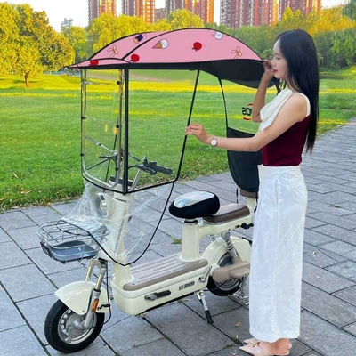 rain cover, adjustable and detachable, Elektromobil üçün ön şüşə çətiri (günlük) - ice-cream-honey-hard-board-with-side-guard-large-window-the-car-has-rearview-mirrors-take-a-photo-of-this-model