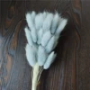 A bunch of light gray rabbit tails around 60