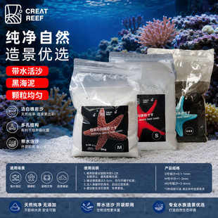 �ձ�CREAT REEF������ �yˮ��ɳϵ�м��׽���ɳ�ں���ɳ������Ⱥ
