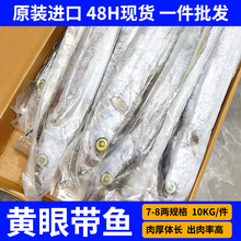 整条带鱼进口冷冻黄眼热带鱼7-8两整件批发现货餐饮食材量大价优