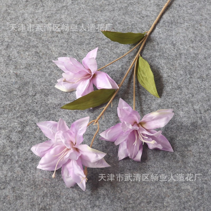 사유라에