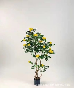 �����S������ �S���~�������~�����~�@�־��^�쾰�Ҿ��b����