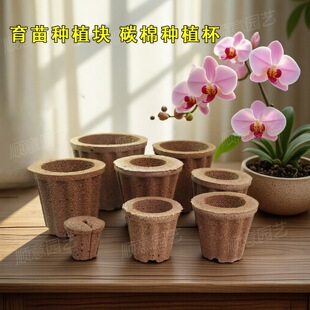 ̼�޷Nֲ�������mʯ���m���������ֲ��ʯ��������|�K�I�B��ֲ��