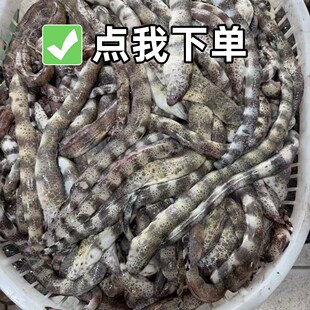 ���������Ұ�����~�X���r���ك���S���